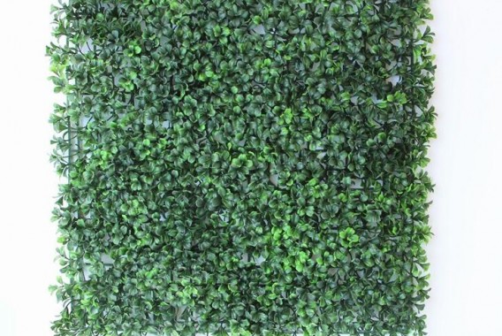 QQ截图20180328095533