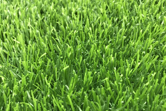 QQ图片20170821190317