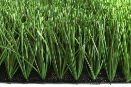 Football grass Max S