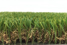 Winter High Density One